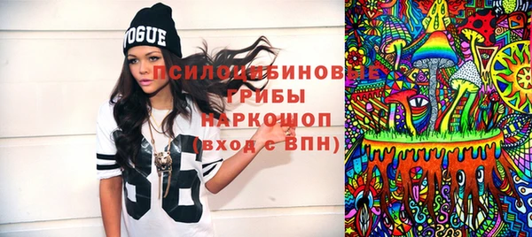 шишки Гусиноозёрск