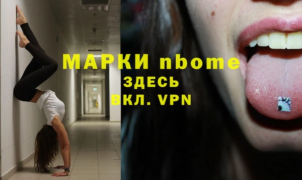 шишки Гусиноозёрск