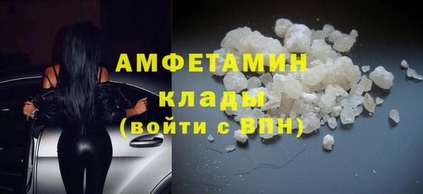 шишки Гусиноозёрск