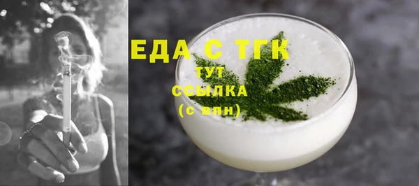 шишки Гусиноозёрск