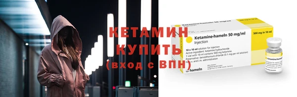 шишки Гусиноозёрск