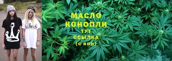 шишки Гусиноозёрск