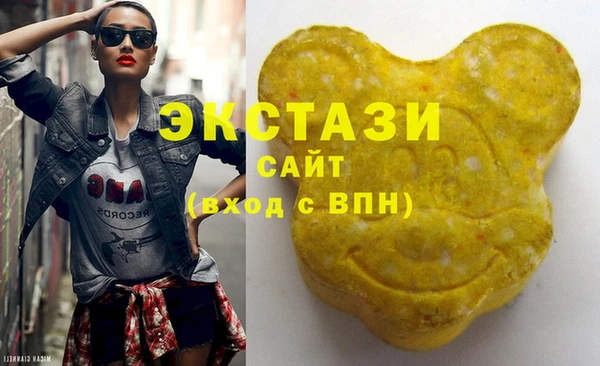 шишки Гусиноозёрск