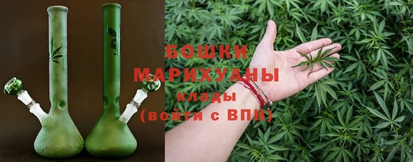 шишки Гусиноозёрск