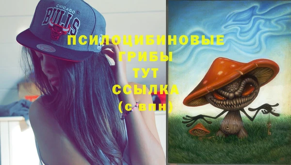 меф Гусев