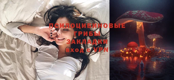 шишки Гусиноозёрск