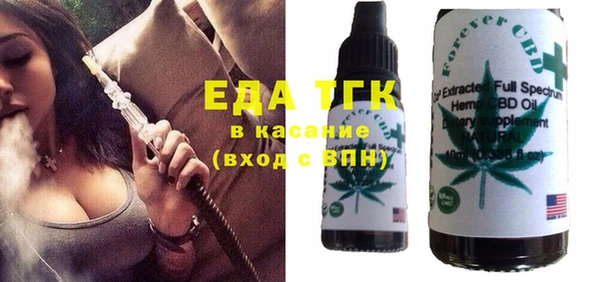 шишки Гусиноозёрск