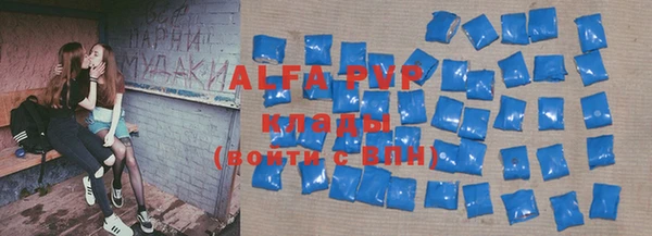 шишки Гусиноозёрск