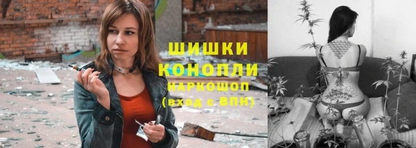 шишки Гусиноозёрск
