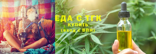 шишки Гусиноозёрск