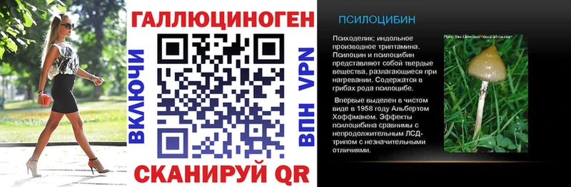 KRAKEN маркетплейс  Верея  Псилоцибиновые грибы прущие грибы  цены наркотик 
